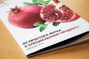 Печать каталогов в Москве Broshure.jpg