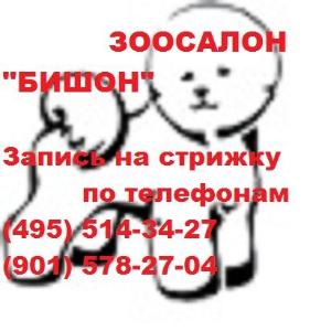 Стрижка собак в Москве аватар.jpg