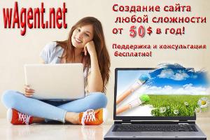 wAgent. net - хостинг от 1$, домен, Reseller (интернет-бизнес) от 95$ Город Уфа