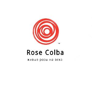 Rose-colba - магазин роз в колбе - Город Москва